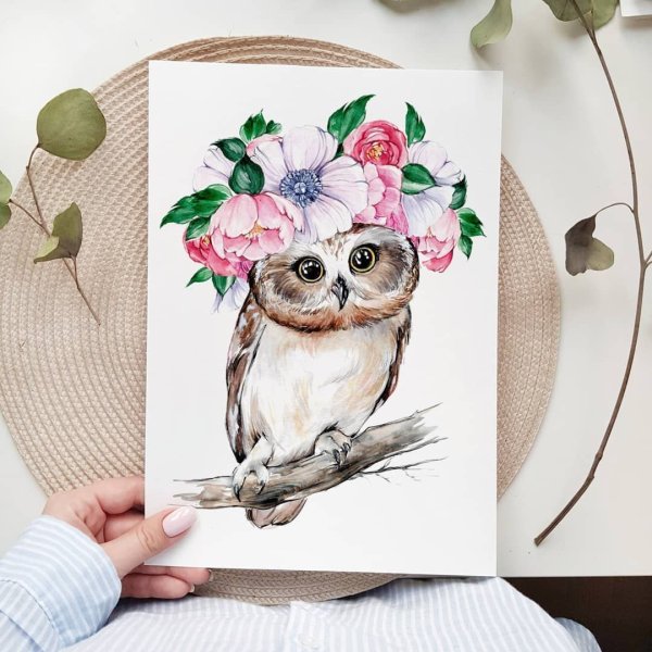 Сова красками