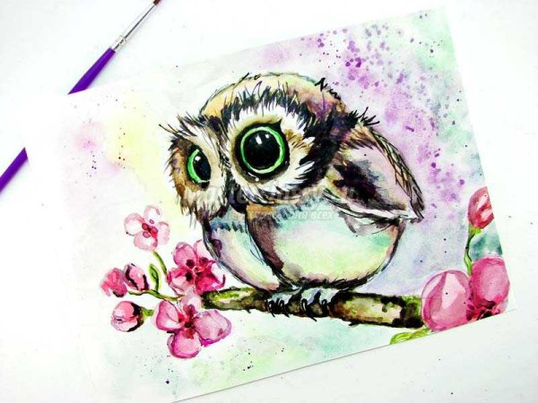 Сова акварелью
