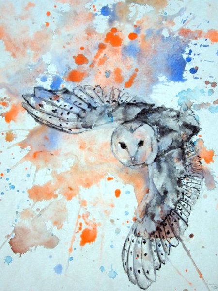 Сова акварелью для детей
