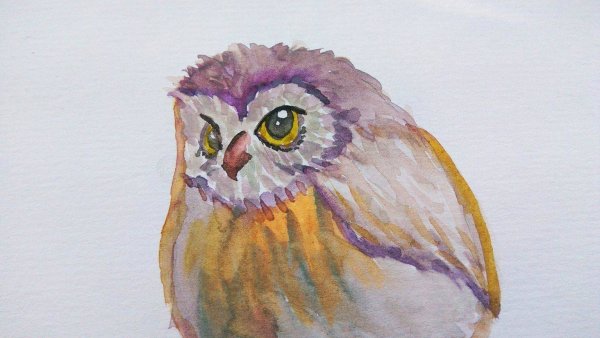 Акварельные Совушки