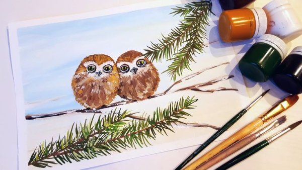 Сова в полете красками