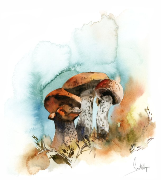 Грибочки акварелью