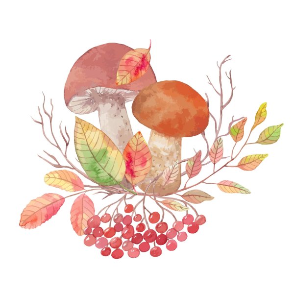 Грибы акварелью