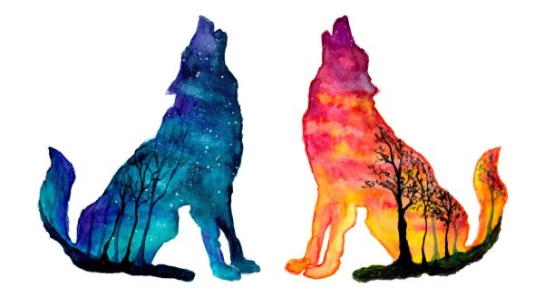 Волк рисунок гуашью