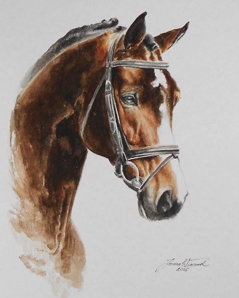 Портрет лошади акварелью