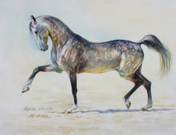 Орловские рысаки акварель