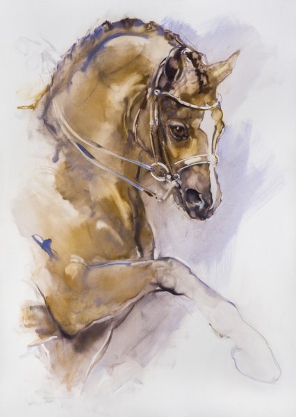 Зарисовки акварелью лошади