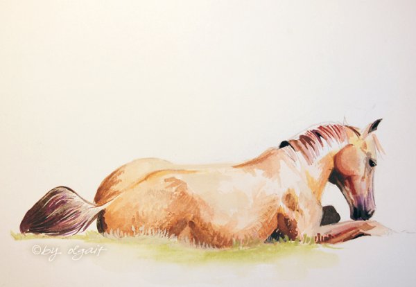 Лошадь лежит