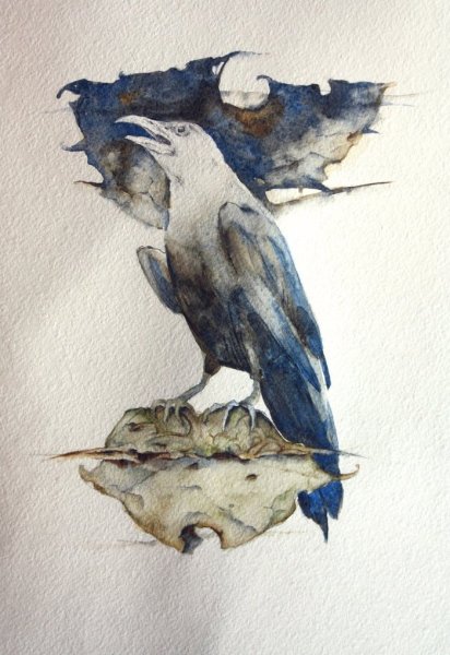 Ворона акварелью
