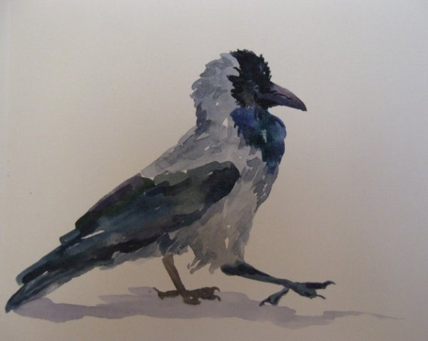 Этюд чучела птицы акварель