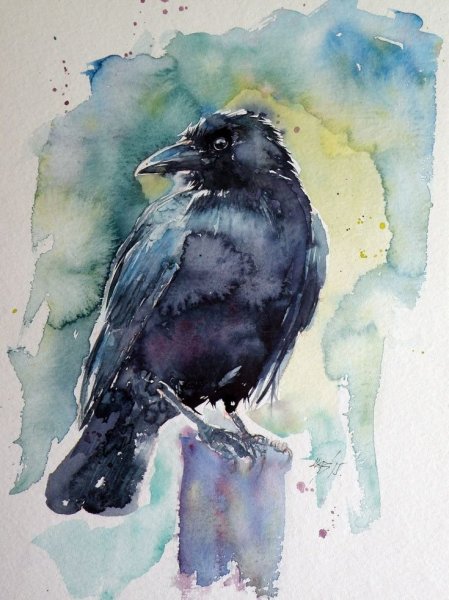 Этюд чучела птицы акварель