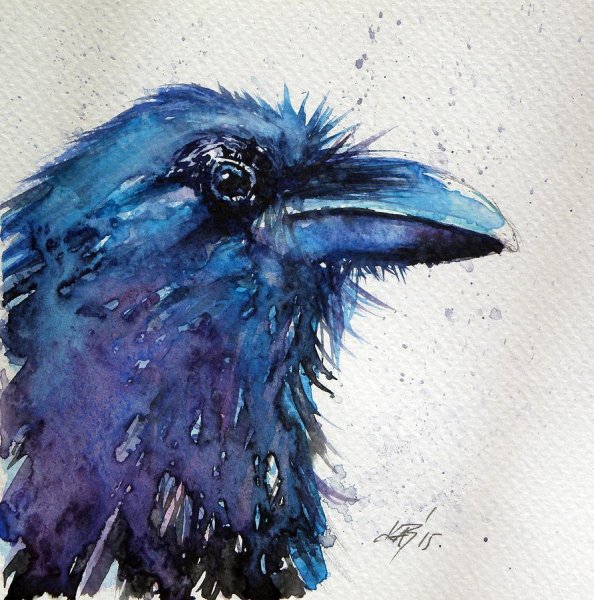 Ворон гуашью