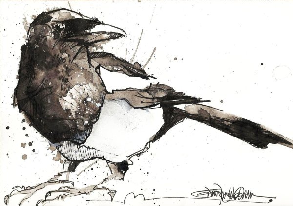 Наброски птиц акварелью