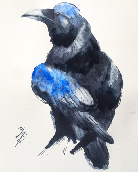 Ворон гуашью