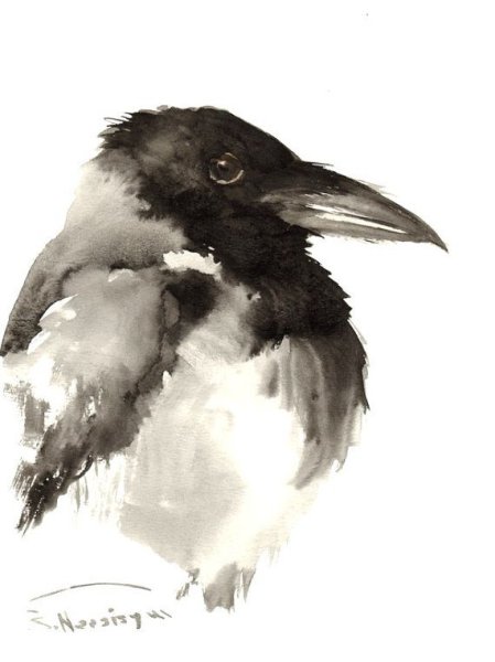 Ворона акварелью