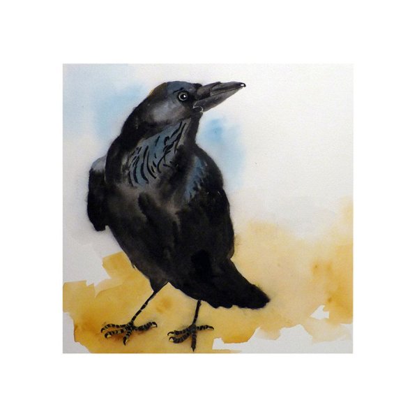 Ворон акварелью