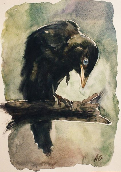 Ворон Васнецов