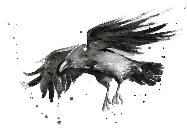 Ворон акварелью