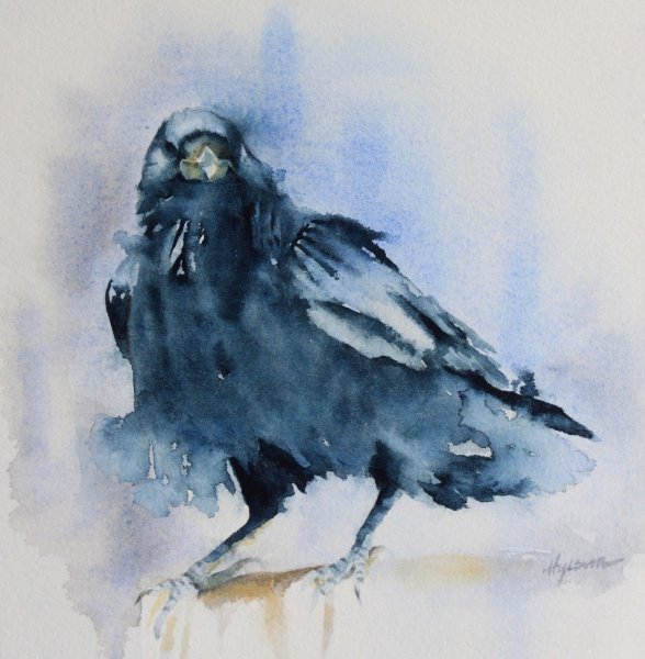 Грачи акварель