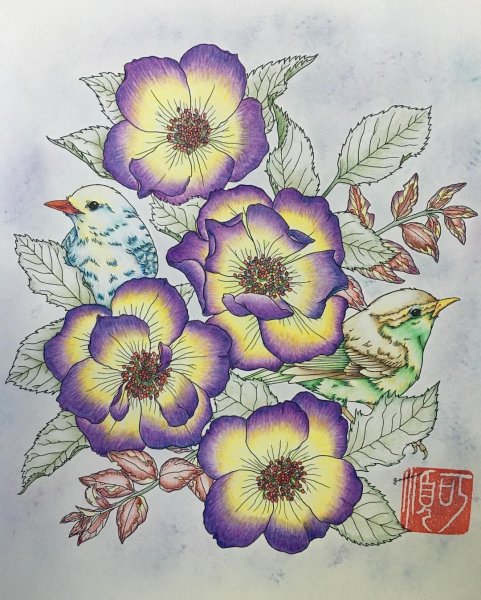 Цветы Раскрашенные цветными карандашами