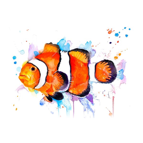 Рыбки акварелью для детей