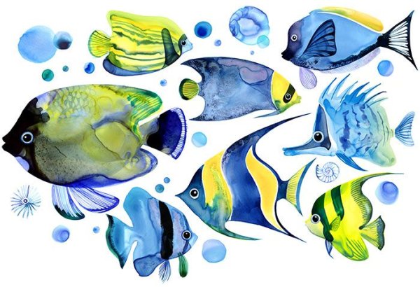 Тропические рыбки акварель