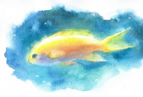 Рыбки акварелью
