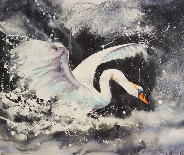 Лебеди живопись акварель