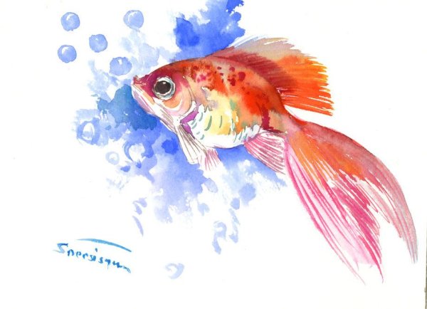 Рыбки акварелью