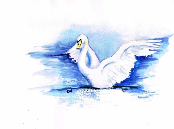Белый лебедь акварель