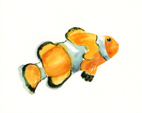 Рыбки акварелью для детей