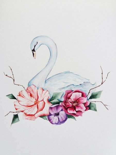Тату лебедь акварель