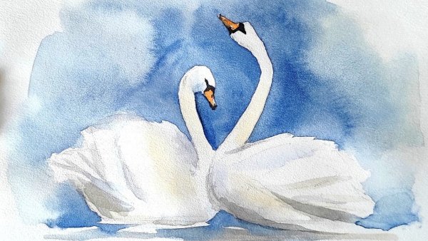 Мастер класс Лебединая верность