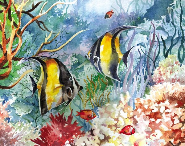 Скалярия акварель