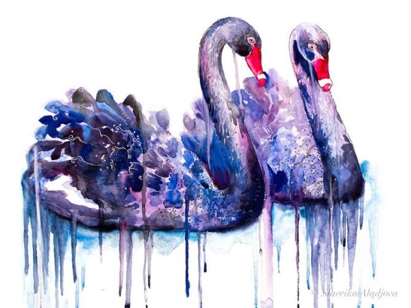 Лебеди толстой иллюстрация