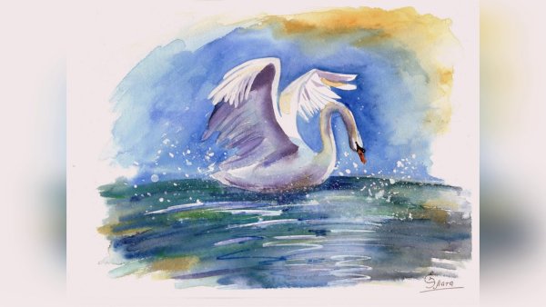 Лебеди акварелью