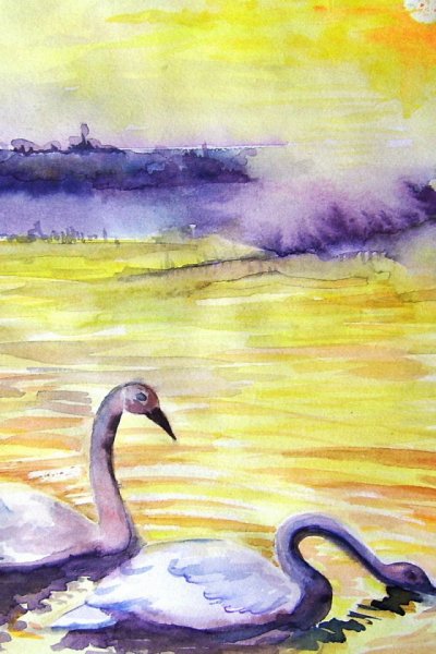 Два лебедя акварель