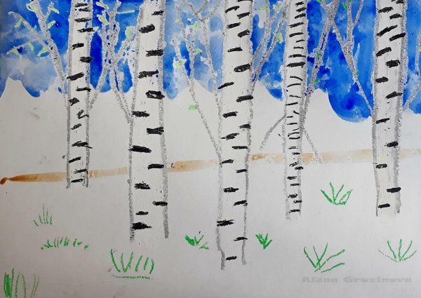 Рисование береза свечкой и акварелью