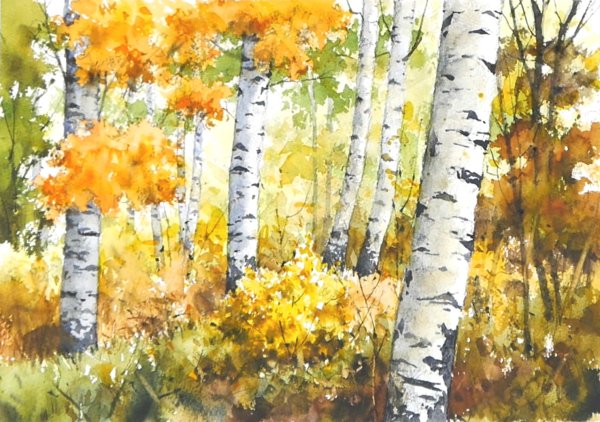 Акварельные скетчи с березами осенние