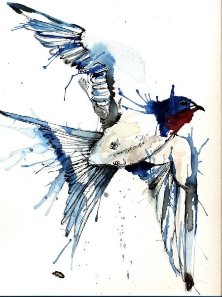 Ласточка акварель