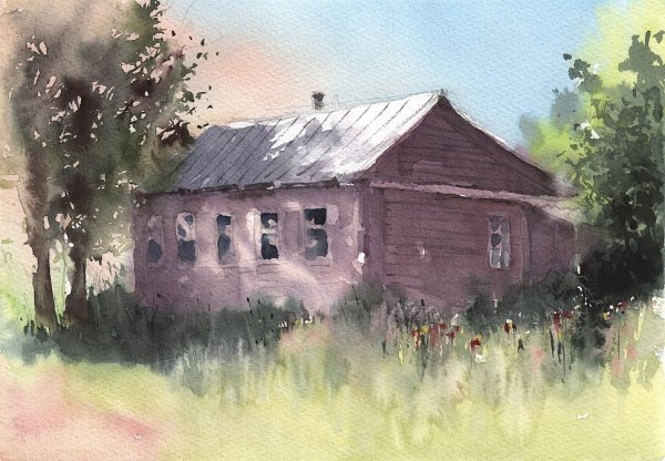 Владимир Тупоршин деревня