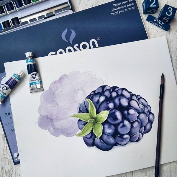 Ежевика скетч маркерами