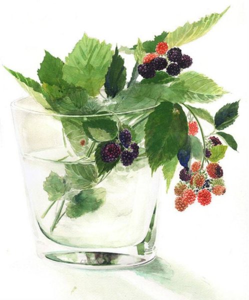 Ягоды акварелью