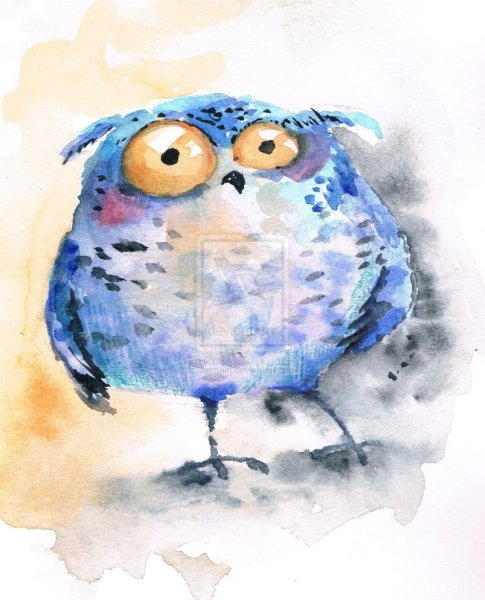 Сова акварелью