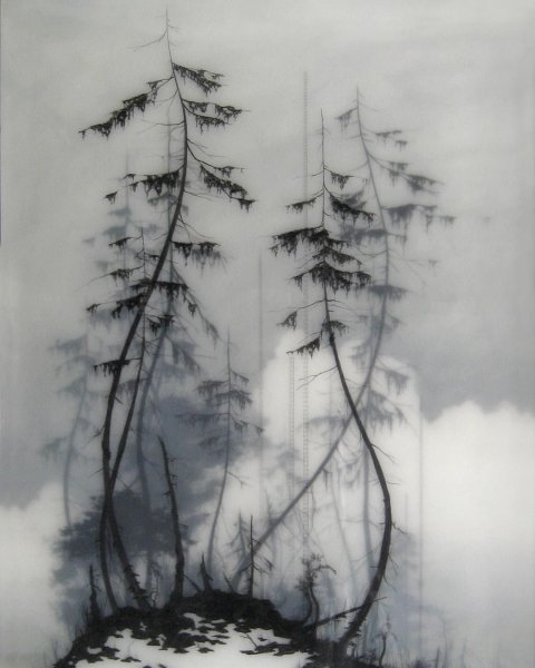Brooks Shane Salzwedel техника