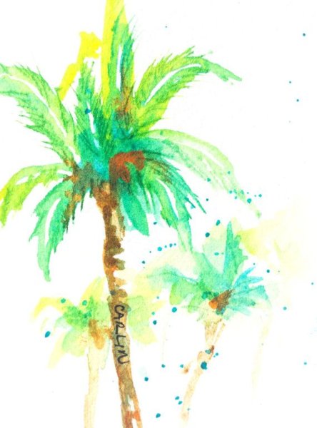 Акварель деревьев Пальма