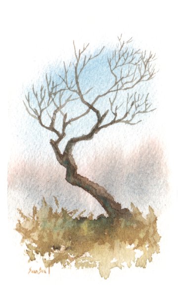 Дерево акварелью без листвы