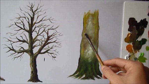 Ствол дерева красками