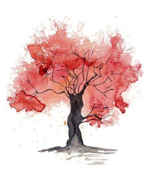 Деревья акварелью