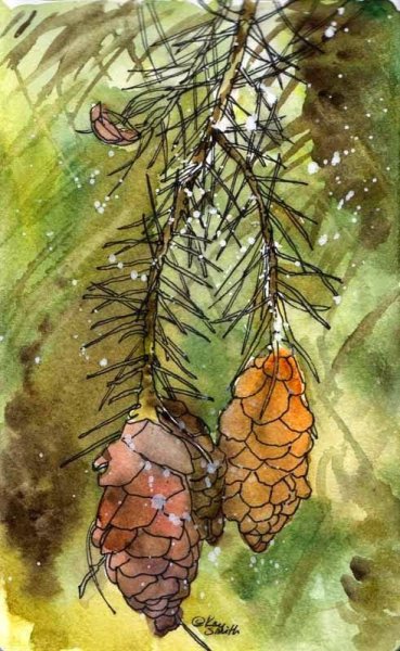 Шишка Сосновая в живописи
